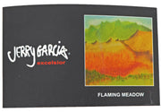 Jerry Garcia Flaming Meadow Mens Tie