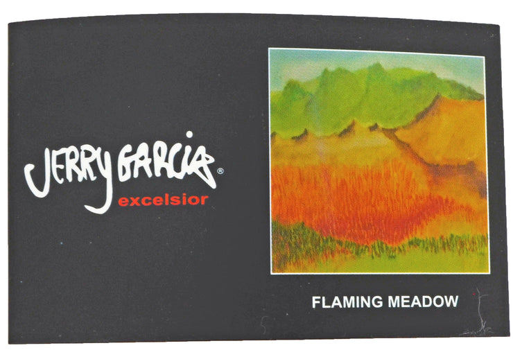 Jerry Garcia Flaming Meadow Mens Tie